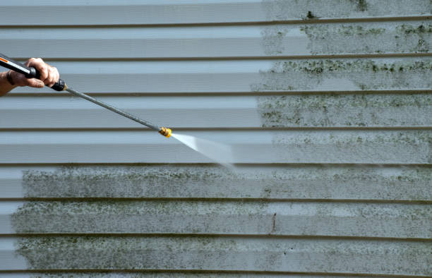 Best Solar Panel Cleaning  in Frederick, MD